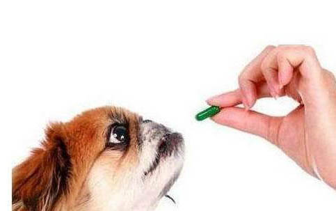 狗狗泪痕怎么去掉，去掉狗狗泪痕的有效方法