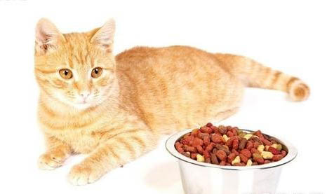 深色猫粮和浅色猫粮哪个好？