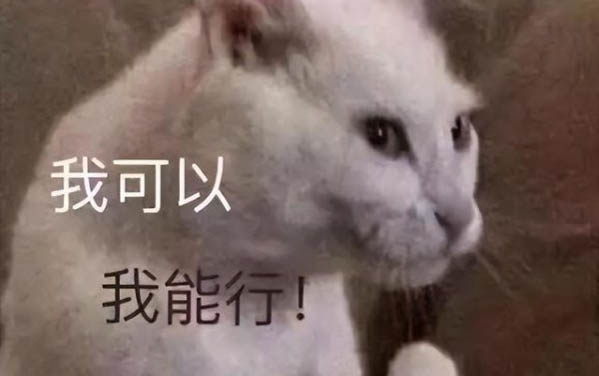 小猫晚上睡觉打呼噜正常吗