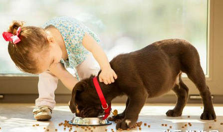 幼犬挑食不吃狗粮怎么办？