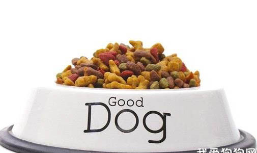 如何让狗狗一天都吃狗粮呢